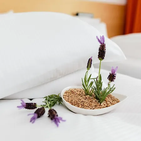 Rugs Am Schlosspark 4* Lichtenwalde