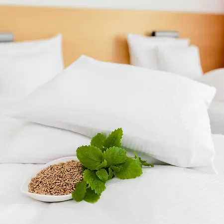Rugs Am Schlosspark Hotell 4*