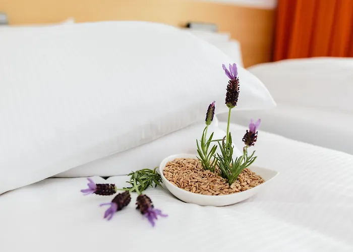 Rugs Am Schlosspark 4* Lichtenwalde