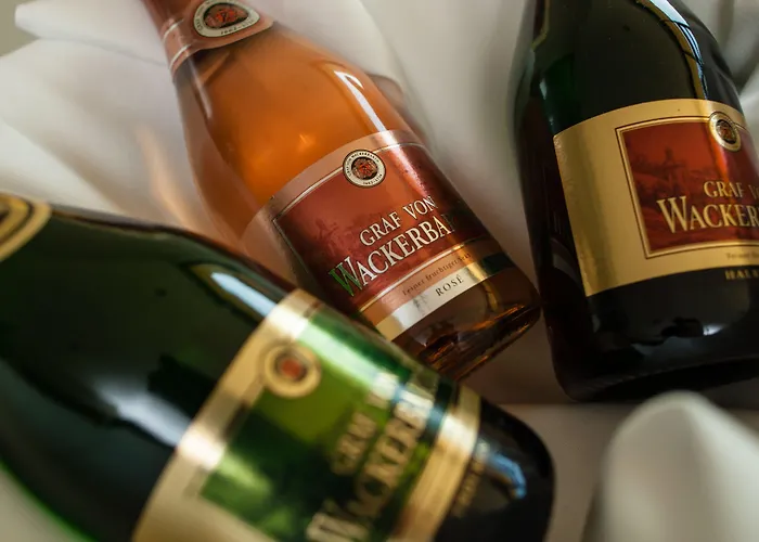 Rugs Am Schlosspark فندق